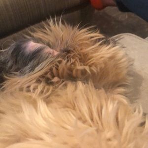 Meet your Posher, Tracy